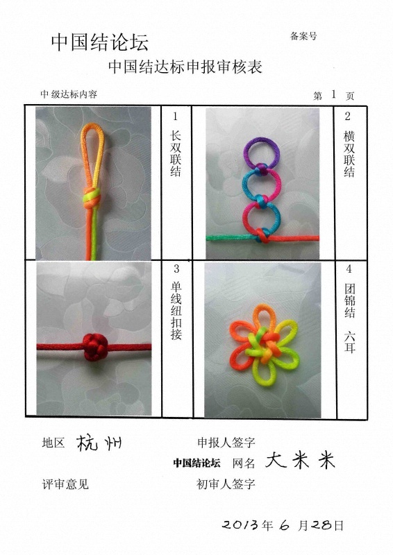 中级达标审核表1