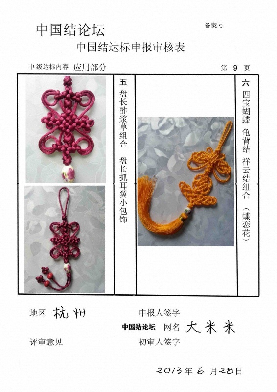 中级达标审核表9