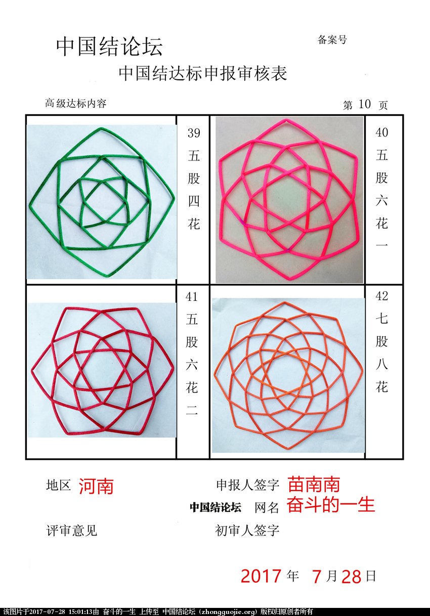 高级达标审核表10