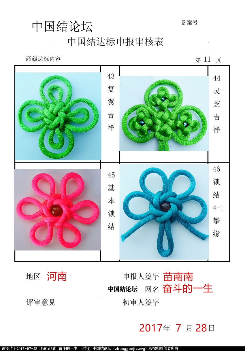 高级达标审核表11