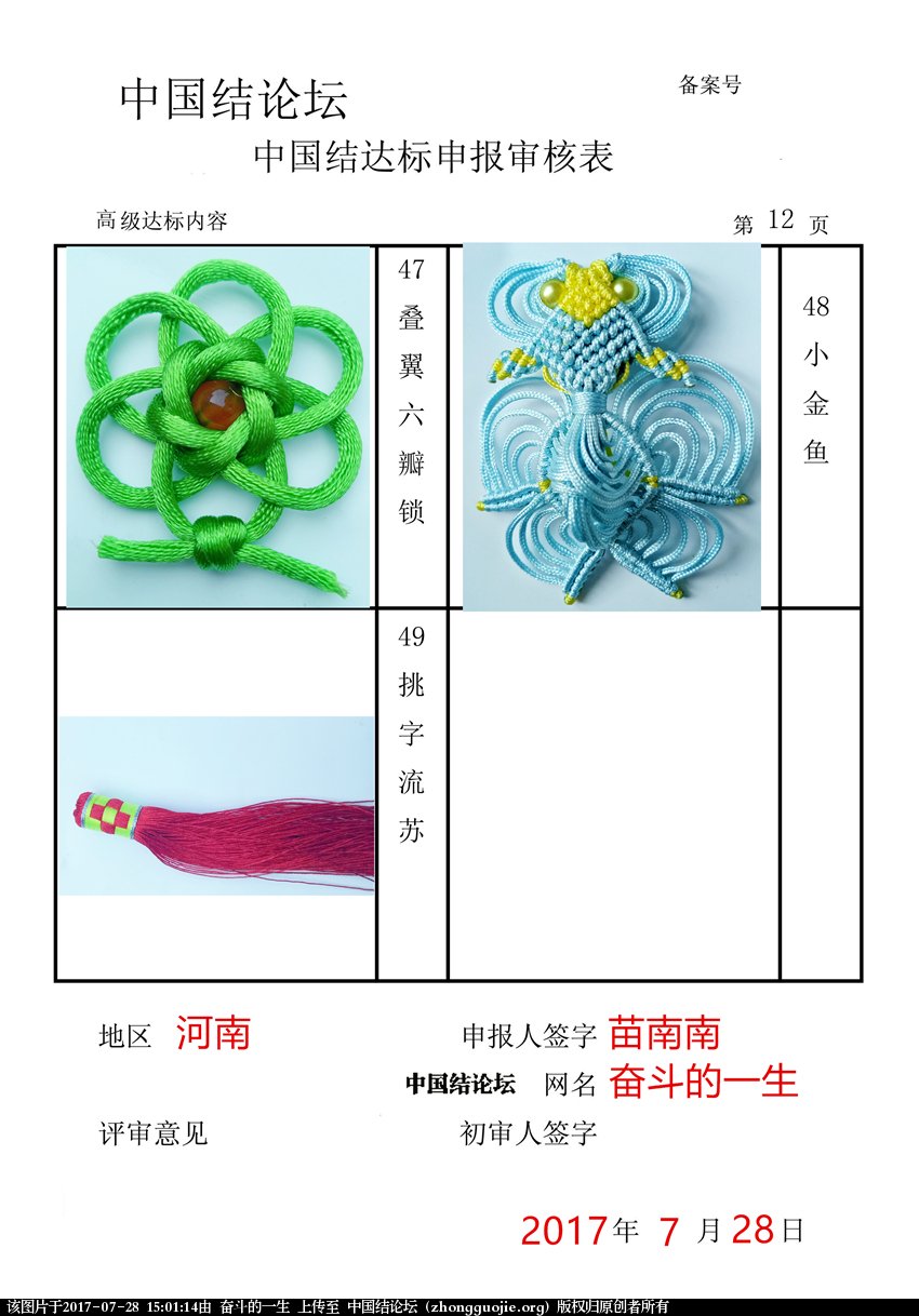 高级达标审核表12