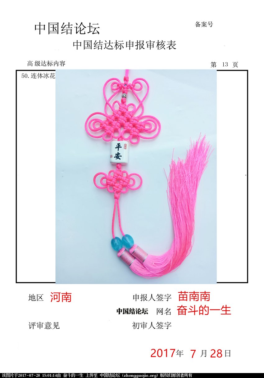 高级达标审核表13