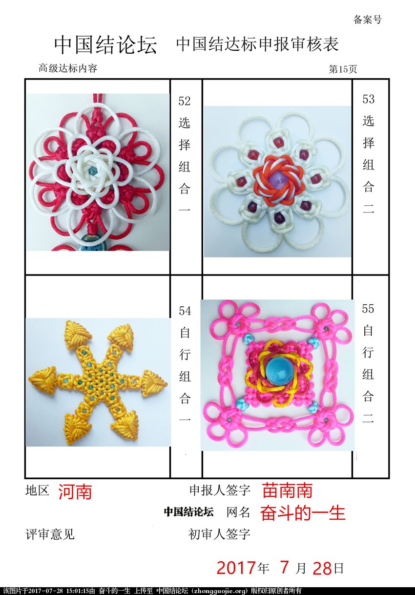 高级达标审核表15