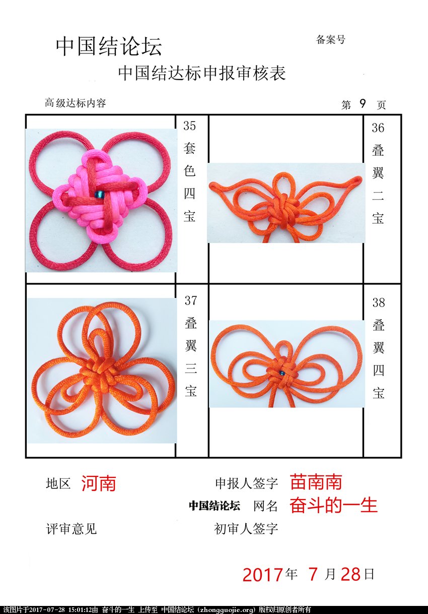 高级达标审核表9