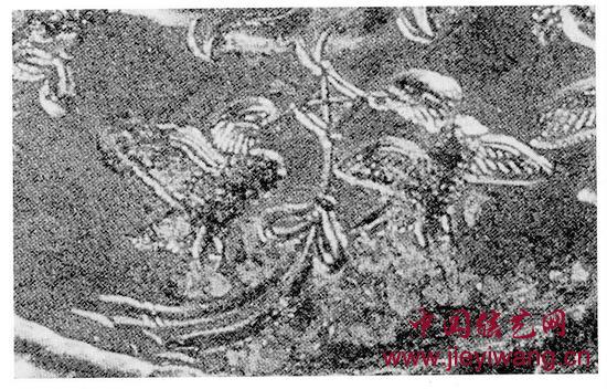 流传到日本的唐代包含同心结的文物